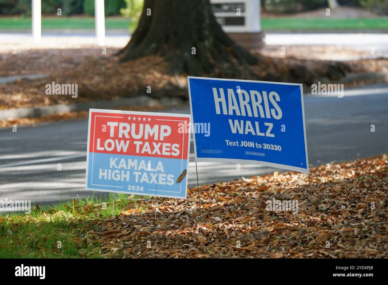 Trump vs Harris: La Notte delle Elezioni che Cambierà l'America!