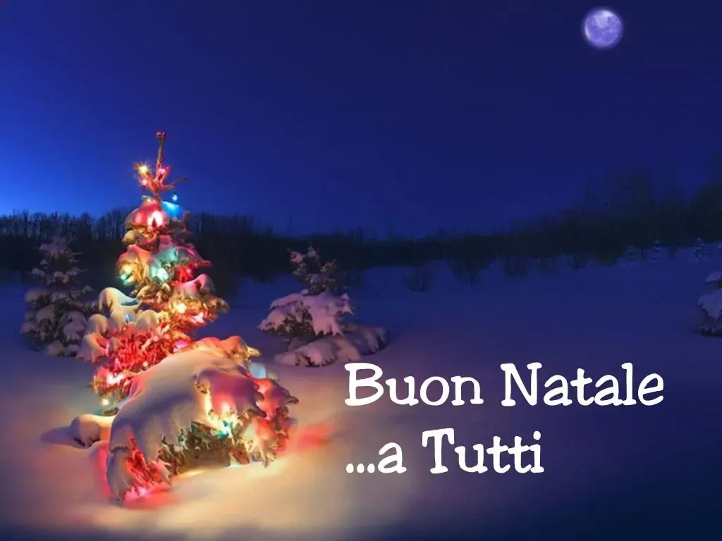 5 Video di Buon Natale che ti faranno Sorridere: Guardali Ora!