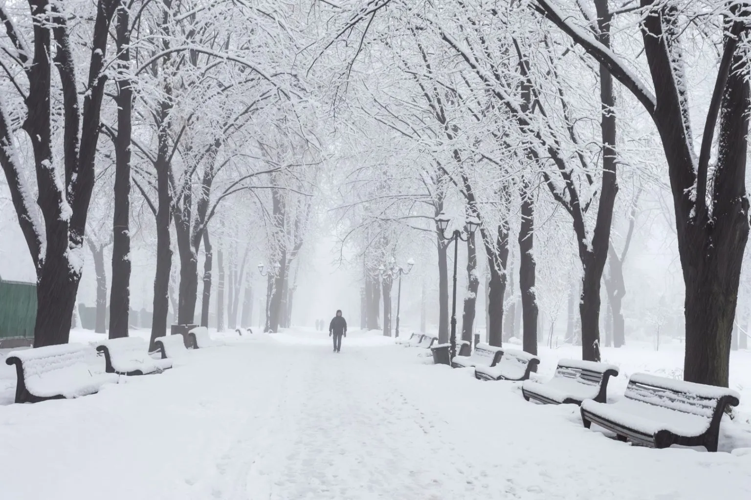 Neve in Pianura Padana: La Magia Inaspettata di un Natale Bianco!