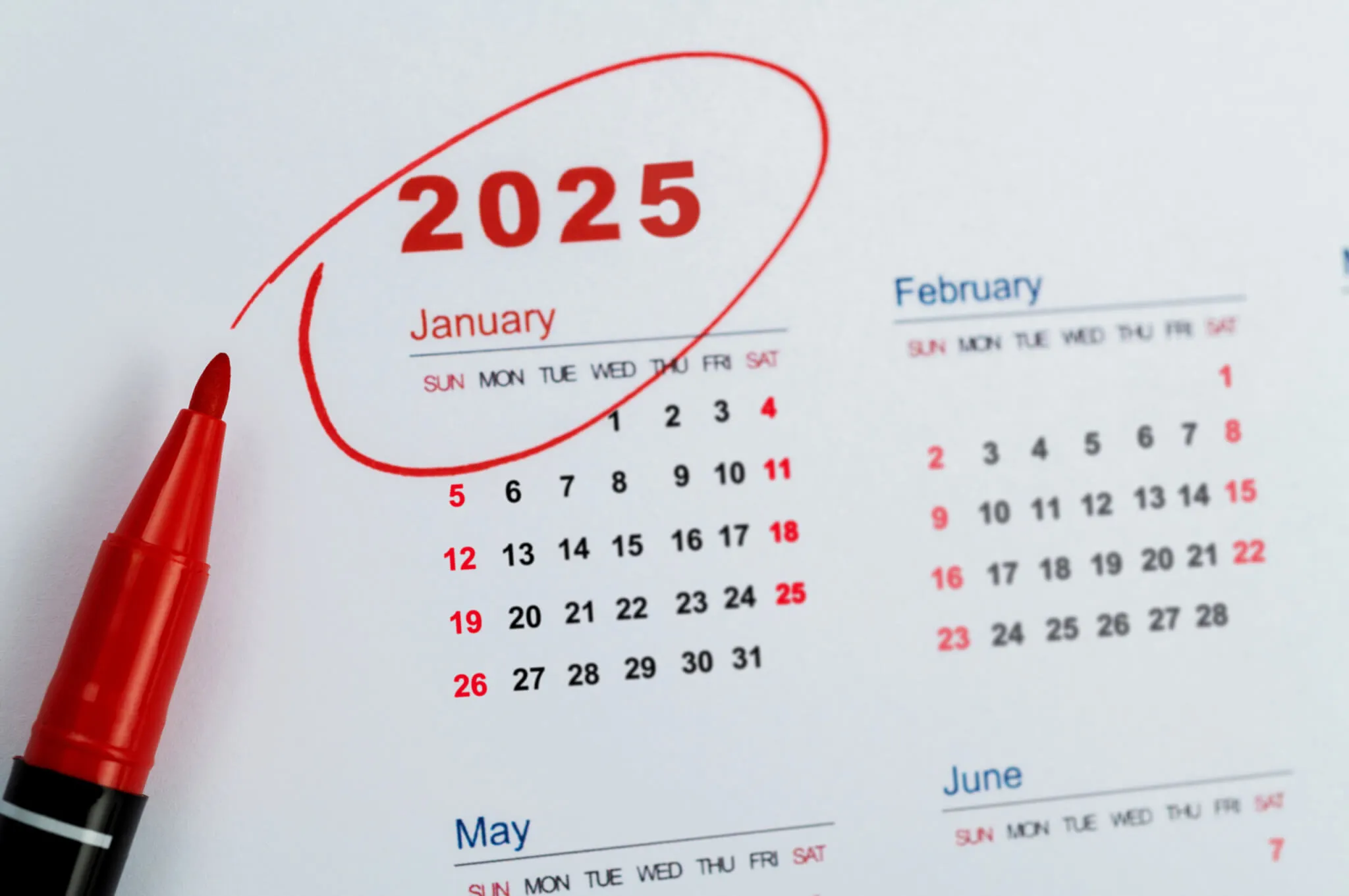 Scopri le Novità del Cedolino Pensione di Gennaio 2025: Cosa Aspettarsi e Quando Arriva!