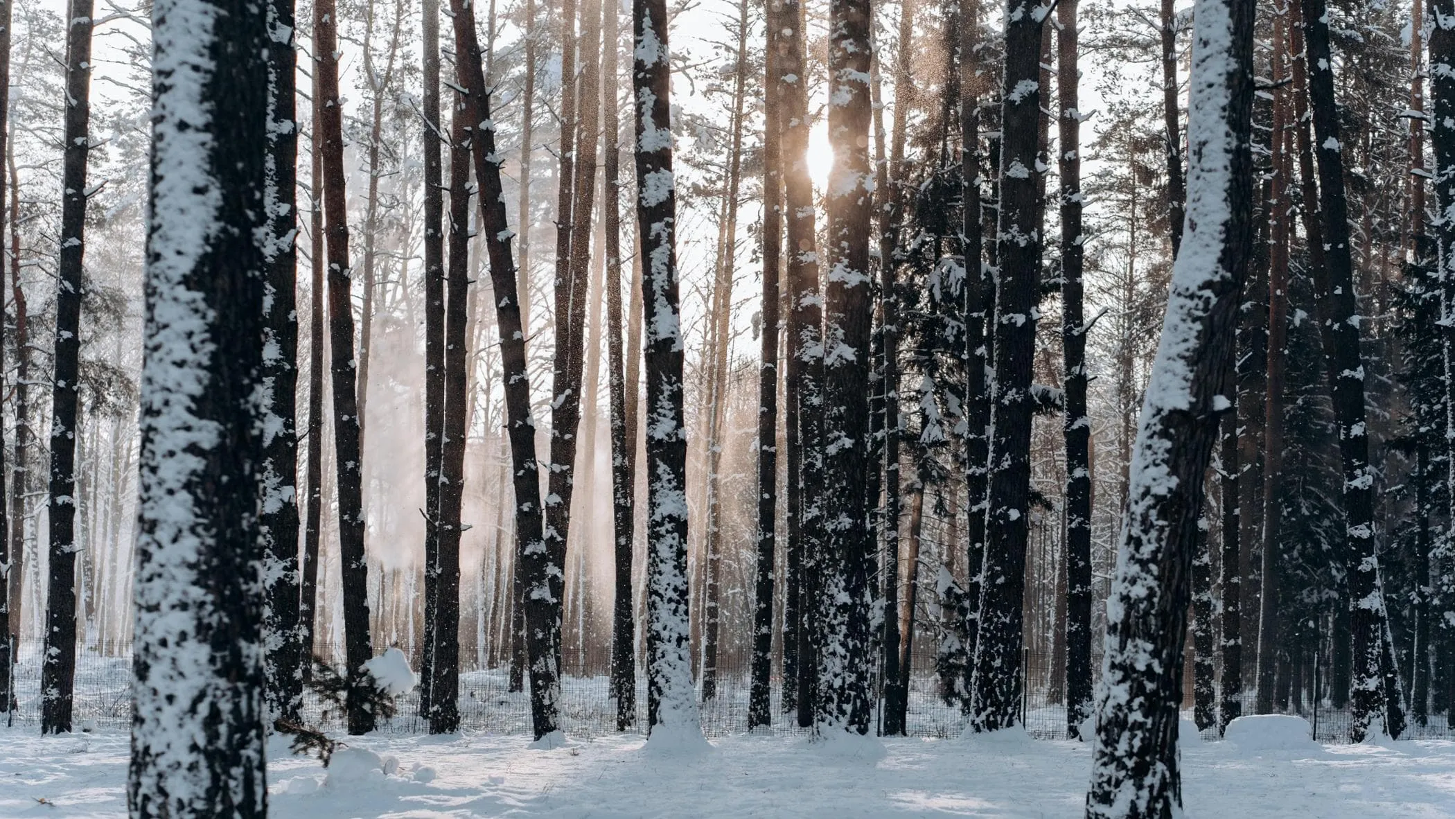 Scopri perché il 21 dicembre cambierà tutto: non crederai ai tuoi occhi!