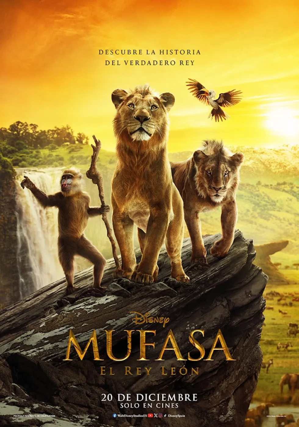 Scopri perché tutti parlano di Mufasa: il film che sta per conquistare l'Italia!