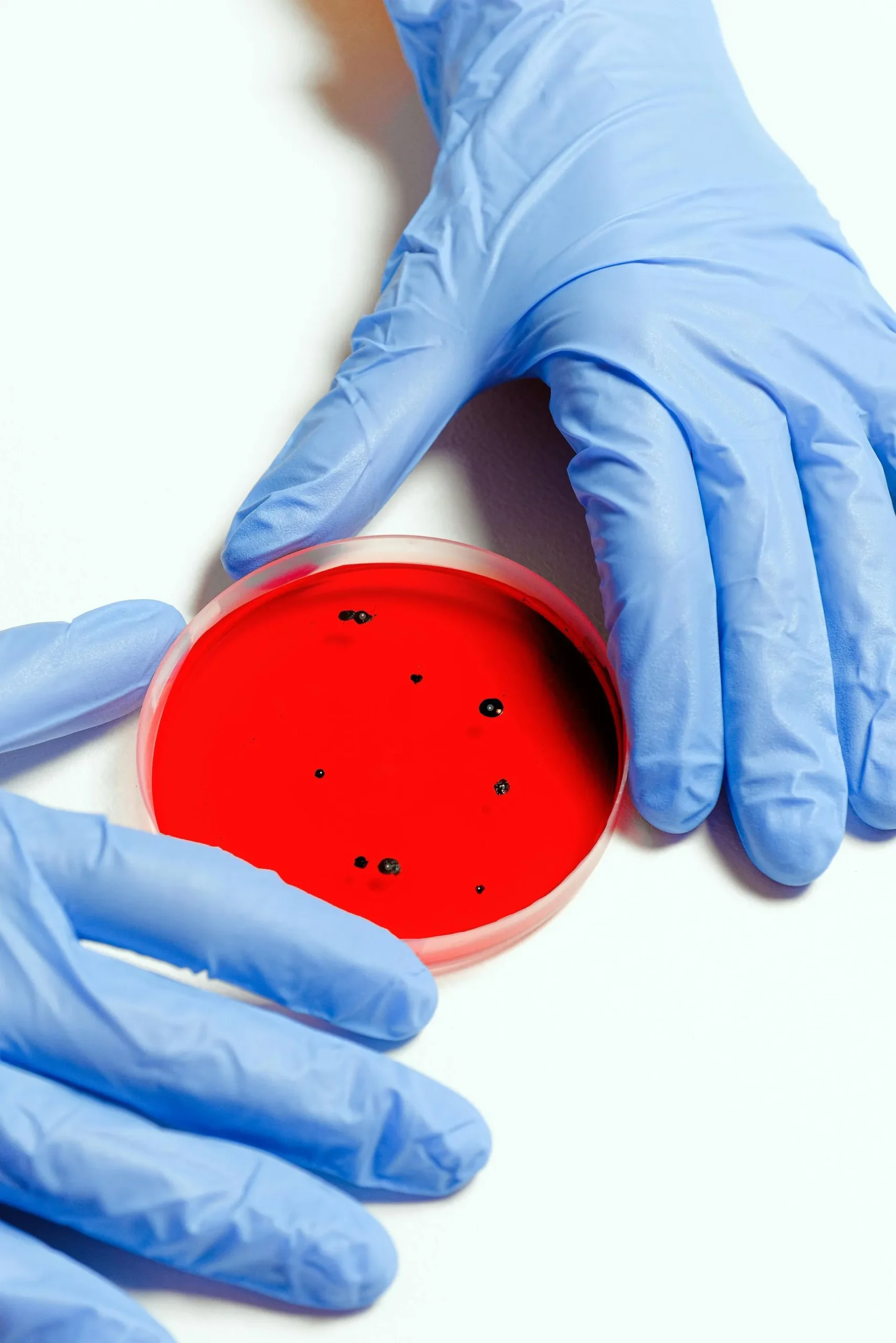 Allerta Nuovo Virus HMPV dalla Cina: Scopri i Sintomi e le Misure di Sicurezza!