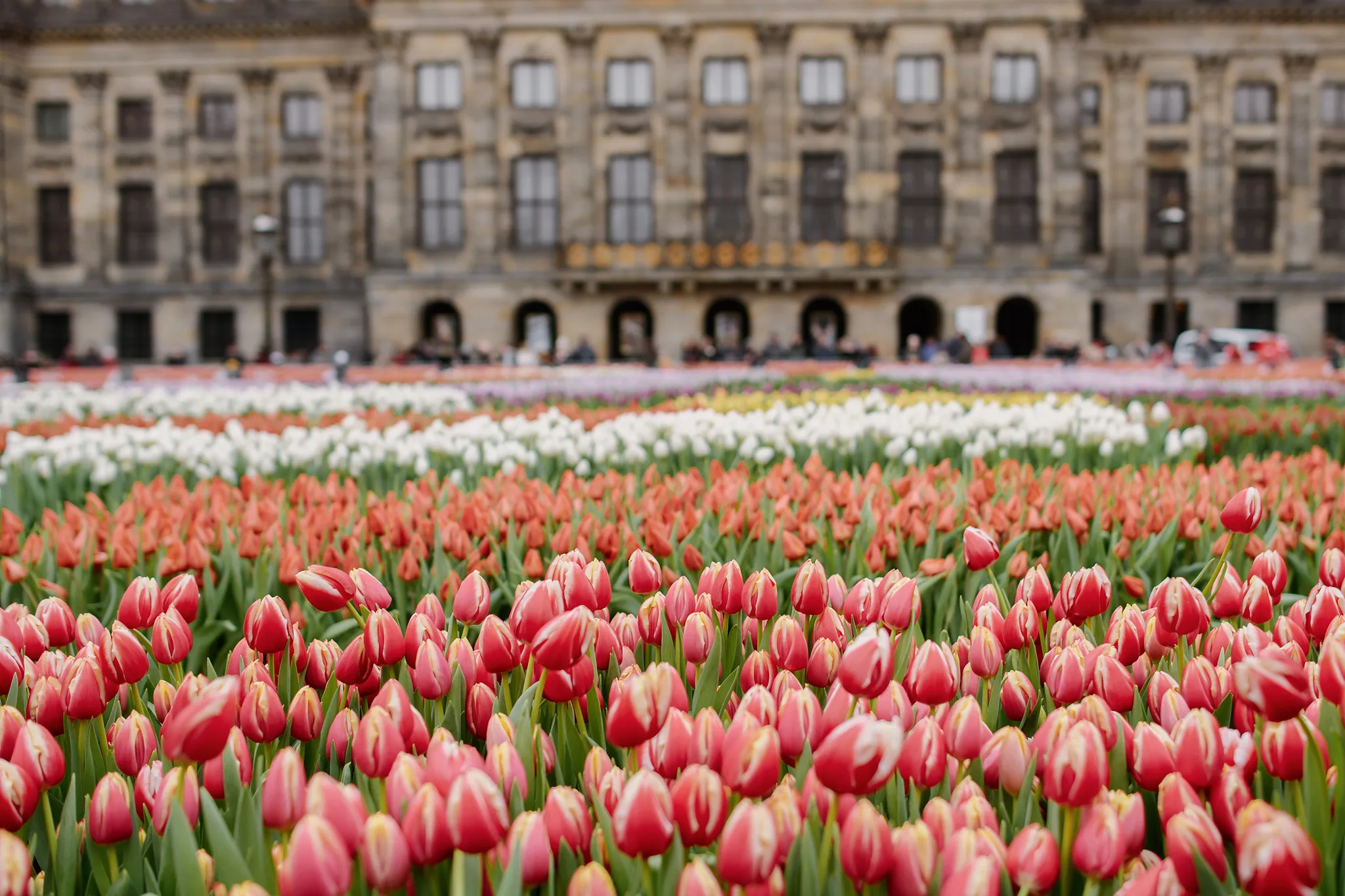 Amsterdam: Scopri il Segreto Nascosto che Sta Conquistando l'Italia!