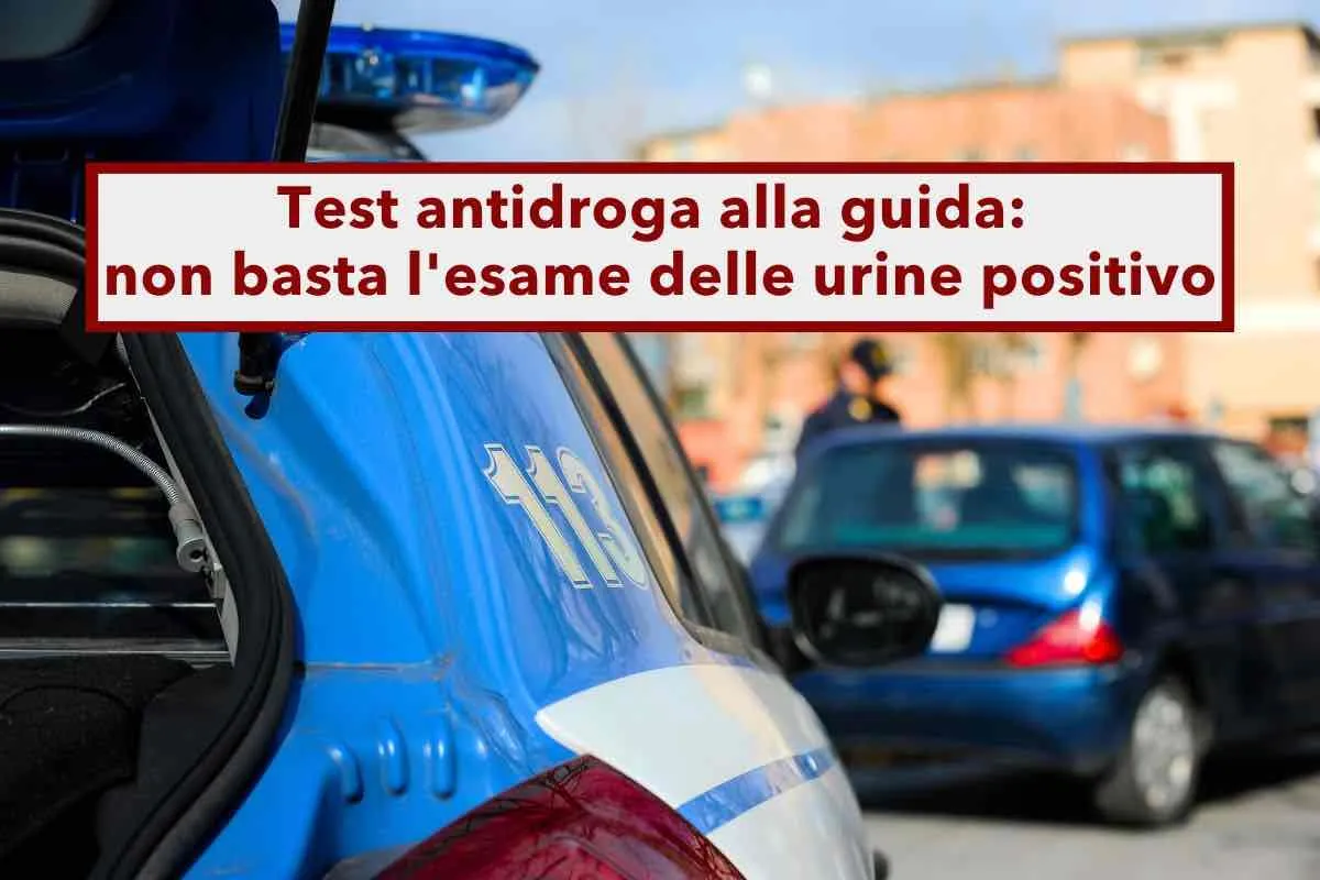 Cassazione Shock: La Riforma Salvini Sotto Accusa!