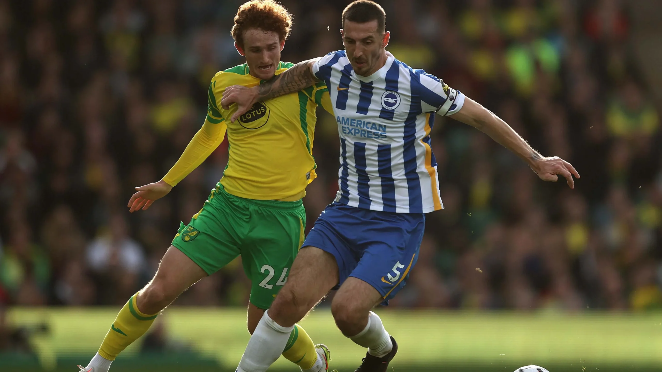 FA Cup: Norwich City e Brighton si sfidano in un duello epico!