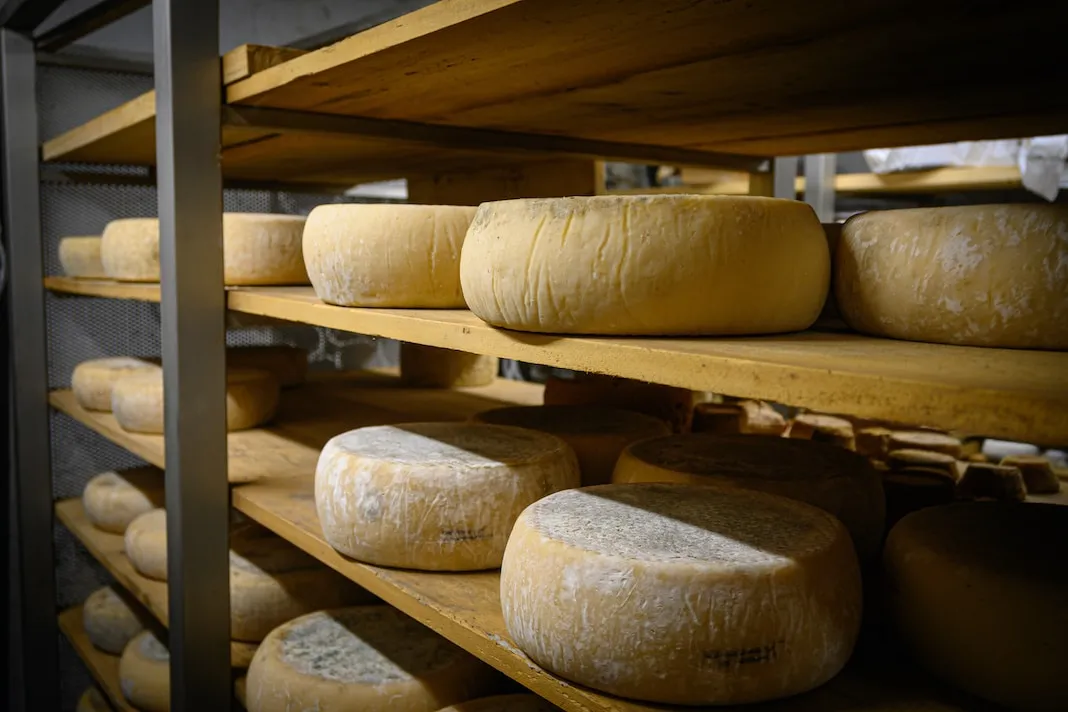Formaggio a Latte Crudo: Rischi Nascosti e Nuove Etichette in Arrivo!