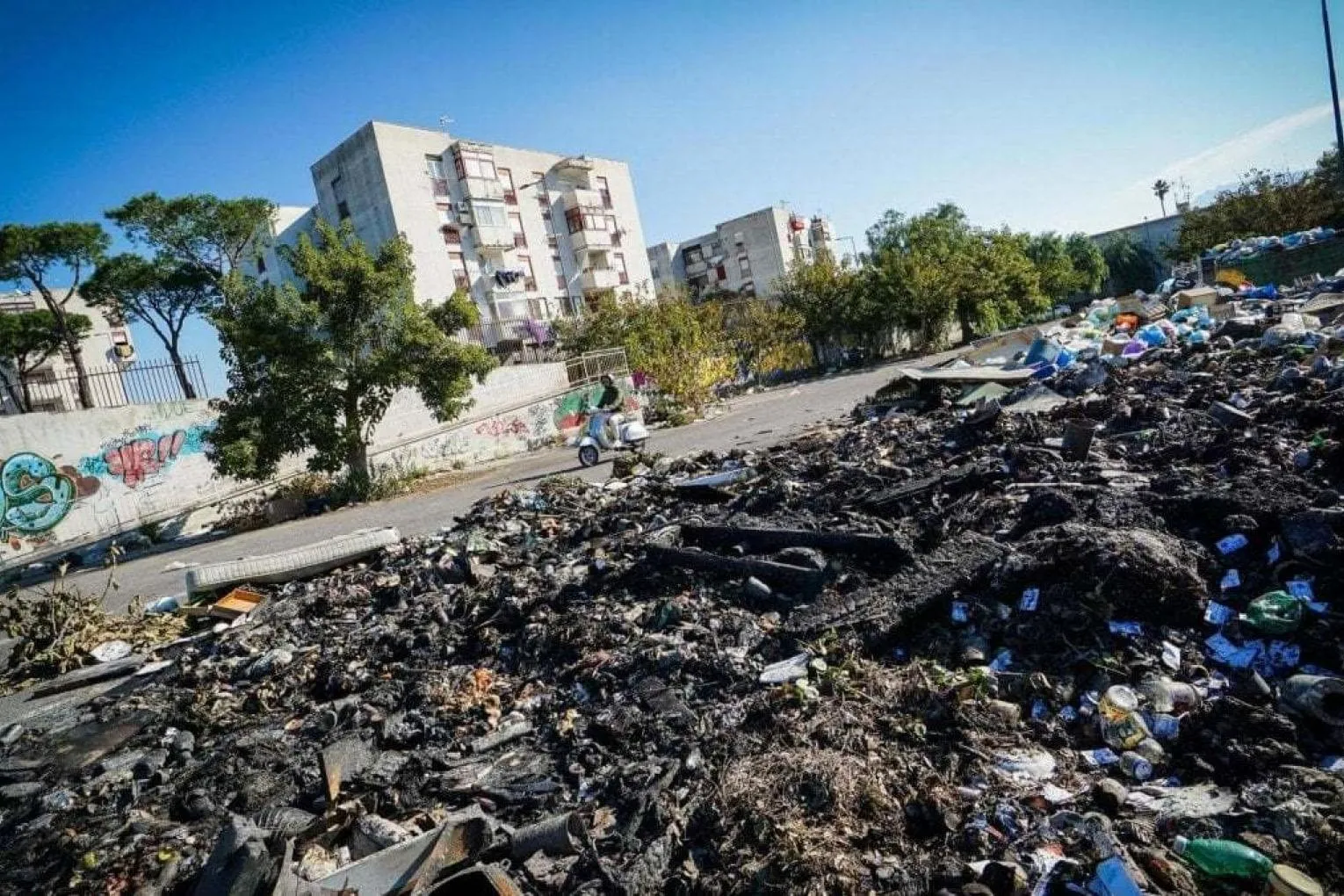 Terra dei Fuochi: La Verità Nascosta Dietro i Rifiuti e le Malattie