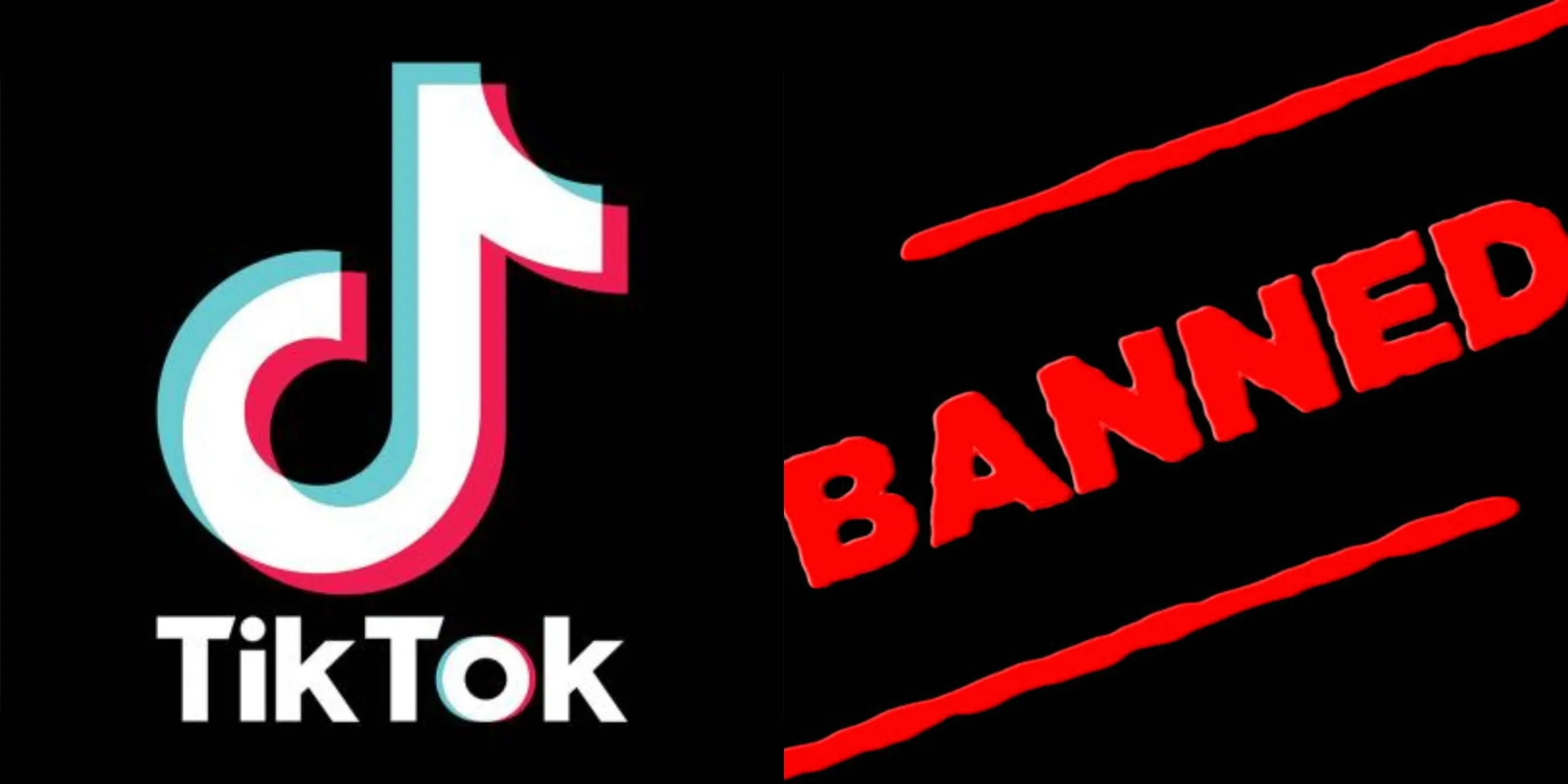 TikTok: Scopri le Tendenze che Stanno Rivoluzionando l'Italia nel 2025!