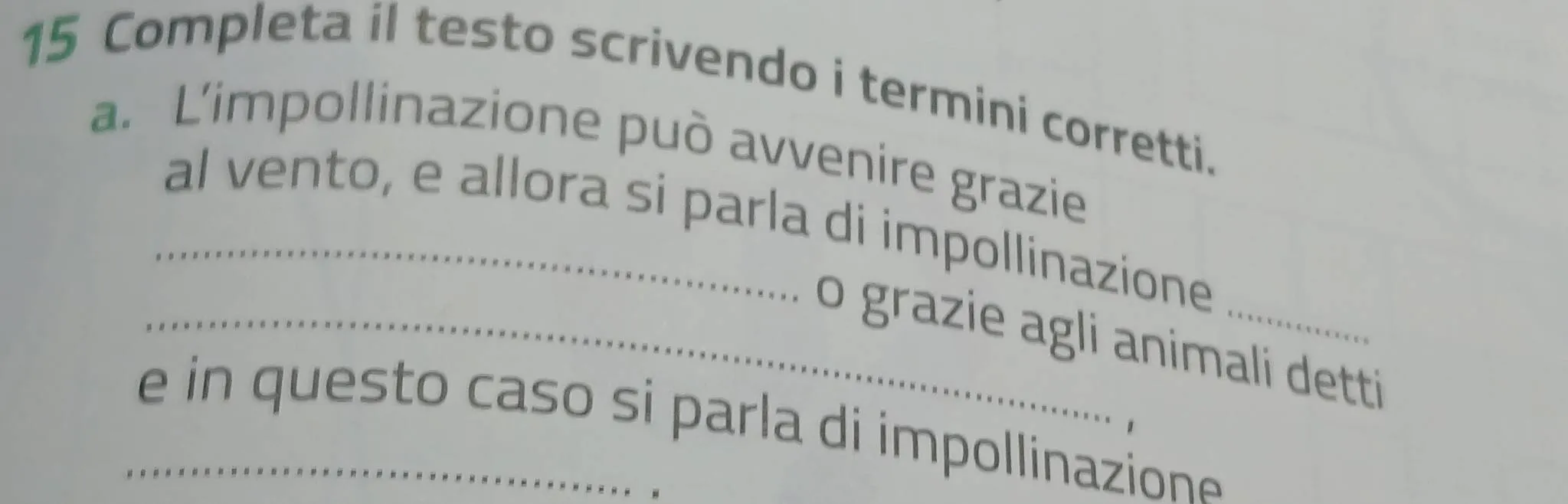 Scopri il Futuro: Cosa Ci Riserva l'Avvenire in Italia?