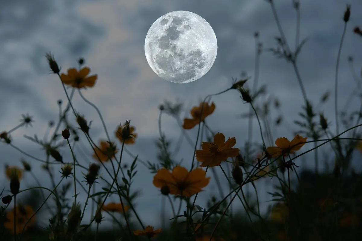 Scopri la Magica Luna Piena di Maggio 2025: Un Evento da Non Perdere!